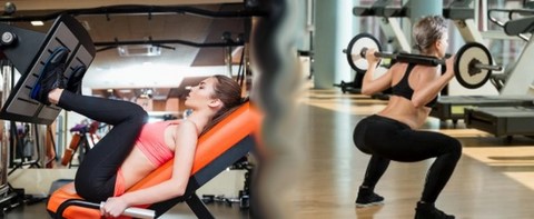 squat musculation